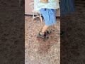 TROMPOYOYO Top Yoyo