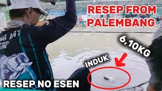 Download lagu Umpan Putih 4 Bahan  !!  Umpan Ikan Mas No Esen !!  Palembang Punya Resep mp3