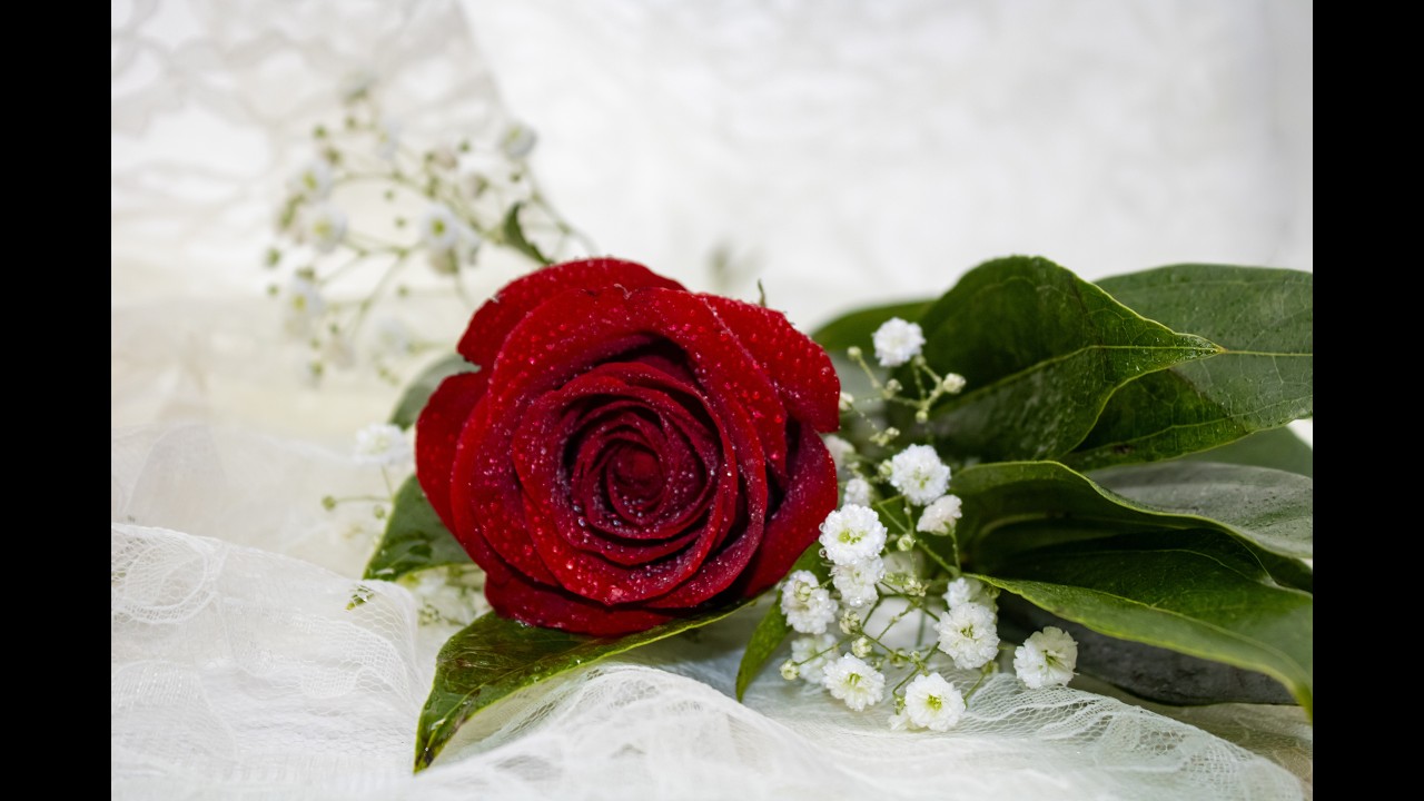 Romantic Decor and Gift Ideas