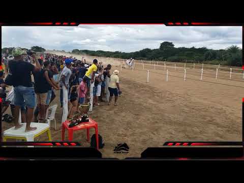 Resultado DICKY BRUMMEL  x VERDUGO DASH "#Trailer"