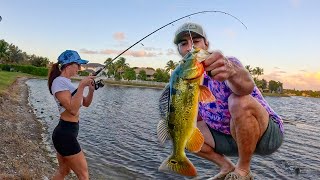 Fishing Miami Neighborhoods for Peacock Bass (these lakes were loaded)