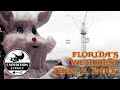 Florida S WEIRD Controversial Theme Park Nightmare Films God S World Rock N Roll Pirates World