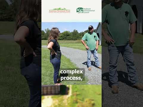 Long Acre Farm: 4th-Gen Virginia Farm Thrives Sustainably