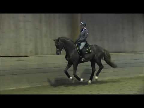 Finnigan Training March 2018