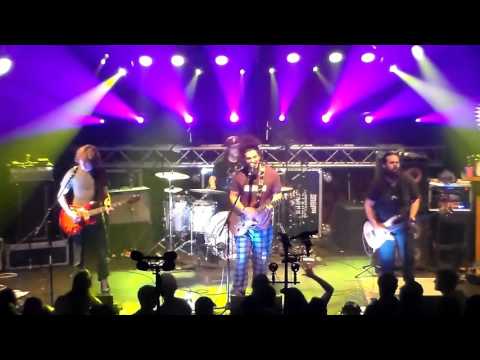 Pigeons Playing Ping Pong at Rex Theatre -Set 2