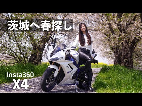 【Insta360 X4】春を感じながら、360度カメラの撮影から編集までをご紹介！｜Daytona675