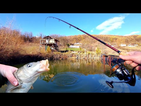 Pescuit la feeder IARNA in Balta din Gradină - Caras , Ciortan si Crap la finețe