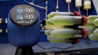 Giới thiệu - Rusian - 2021