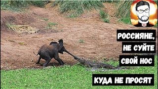 НЕ СУЙТЕ СВОЙ НОС!