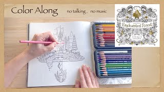 Calming Stress Relief Color Along Johanna Basford's Enchanted Forest Coloring Book ASMR no talking