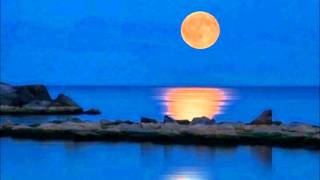 Joyce e Toninho Horta - Sem Você