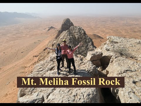 Another Hiking Weekend in Mt. Mleiha | Fossil Rock, Sharjah UAE | Places to go UAE | The JY Project