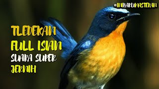 Download lagu TLEDEKAN NYULING GACOR FULL ISIAN || BUAT MASTERAN ATAU PANCINGAN SEMUA JENIS BURUNG TLEDEKAN mp3 Download lagu TLEDEKAN NYULING GACOR FULL ISIAN || BUAT MASTERAN ATAU PANCINGAN SEMUA JENIS BURUNG TLEDEKAN mp3