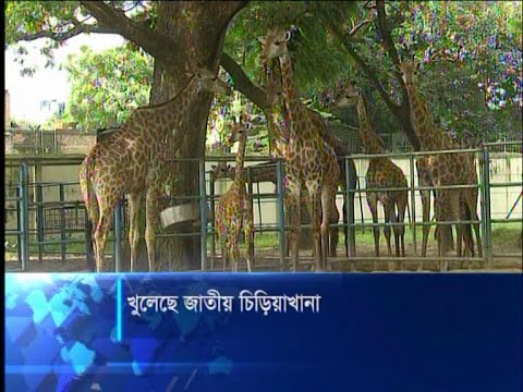 করোনায় ৭ মাস বন্ধ থাকার পর খুললো জাতীয় চিড়িয়াখানা | ETV News