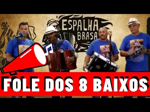 Especial  Fole dos 8 Baixos - Carrapicho dos 8 Baixos #foledos8baixos #forró #ritmos