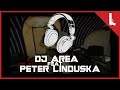 Dj AreA feat. Peter Linduska || In da Hand 