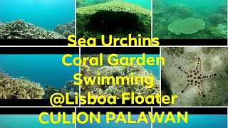 preview picture of video 'Swimming in Culion (Ang Ganda ng mga Corals) Kuya Emil's Vacation in Culion'