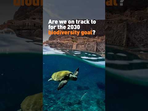 Are we on track for the 2030 biodiversity goal?