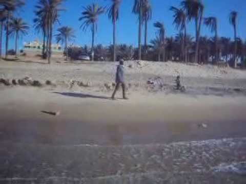 the beach of elarish city on the mediterranean sea - egypt