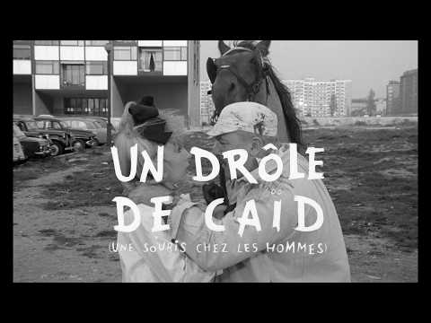 trailer