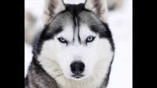 FDM Sander Kleinenberg - We Are Superstars (Dj Yiannis Radio Edit)