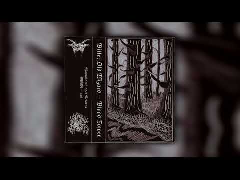 Bitter Old Wizard / Blood Tower - Split (Full) (Dark Dungeon Synth / Dark Ambient)