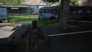 The Last of Us : The Spring