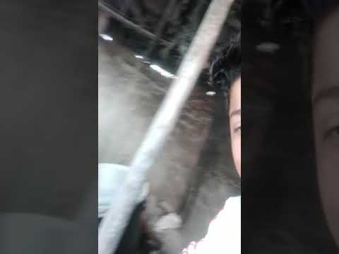 download lagu mp3 mp4 Sugar Bale, download lagu Sugar Bale gratis, unduh video klip Sugar Bale