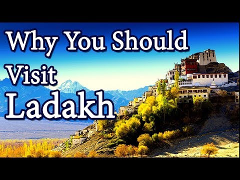 Top 5 Reasons Why You Should Visit Ladakh | Travel Nfx
