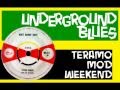 peter touch and the wailers - hoot nanny hoot (island)