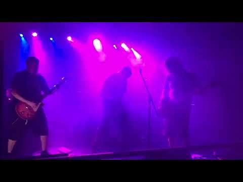 Los 4 elementos vitales contra el corona virus