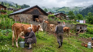 The last shepherd villages in northern Türkiye | A tough life in the highlands