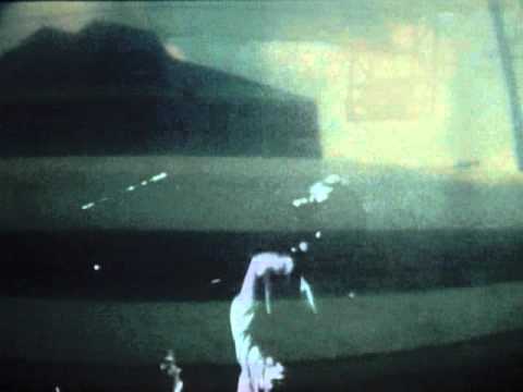 Videoclip de Belong — R.E.M.