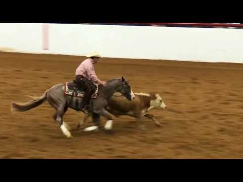 Chris Dawson & Tornado Watch-2018 SRCHA Pre Futurity Open Futurity Champions