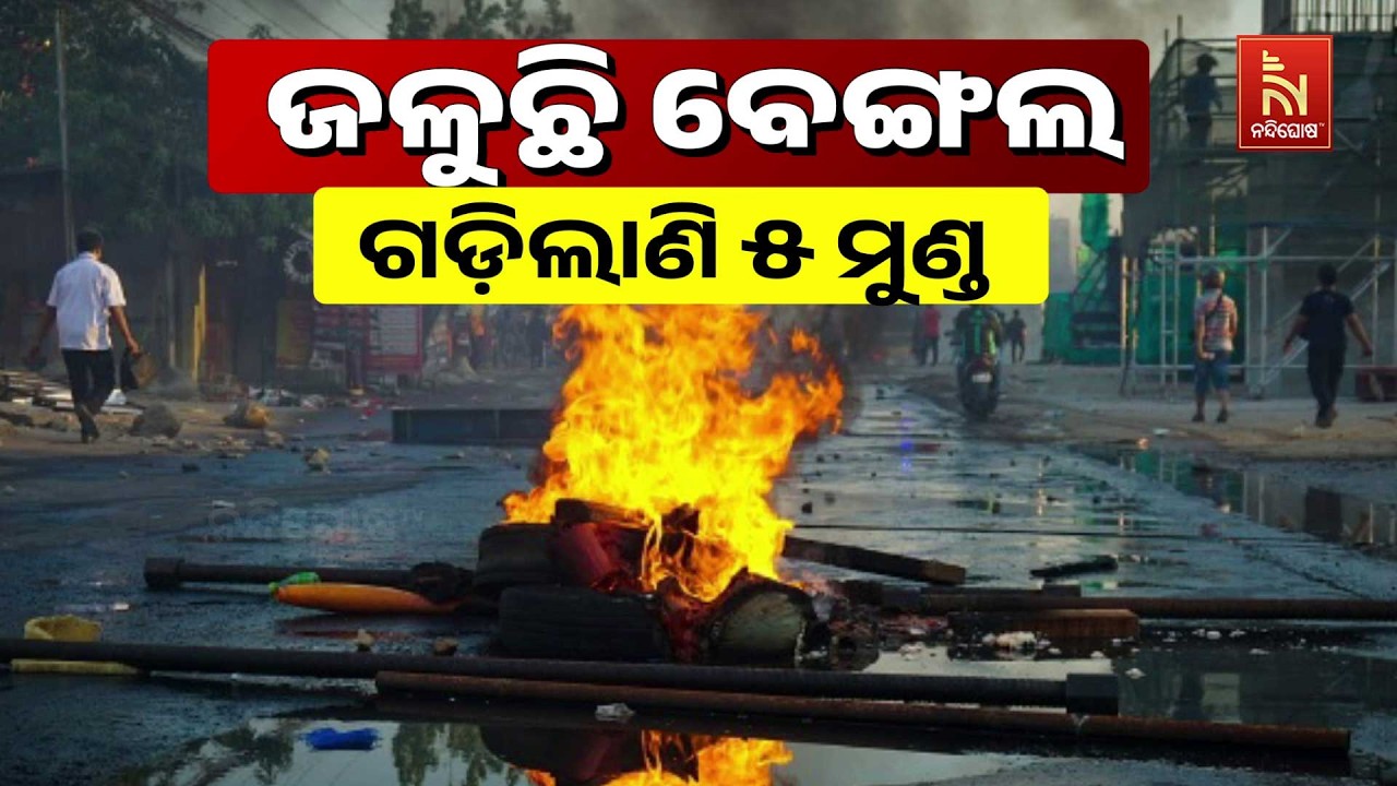 🔴Live | ଜଳୁଛି ବେଙ୍ଗଲ: ଗଡ଼ିଲାଣି ୫ ମୁଣ୍ଡ