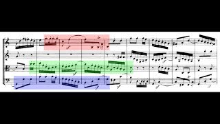 Two Extraordinary Passages from Beethoven String Quartets (Op. 18 No. 4 and Op. 74)