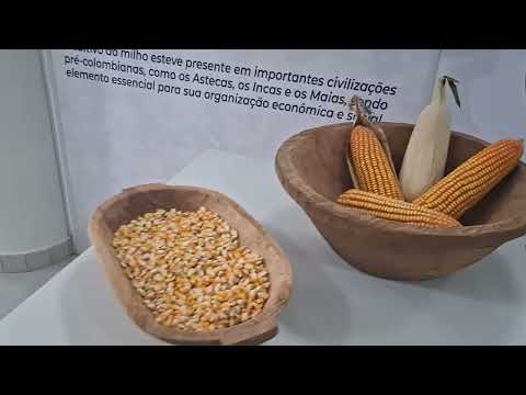 MUSEU EGON SCHADEM,SÃO BONIFÁCIO SANTA CATARINA BRASIL #amomuitotudoisso 