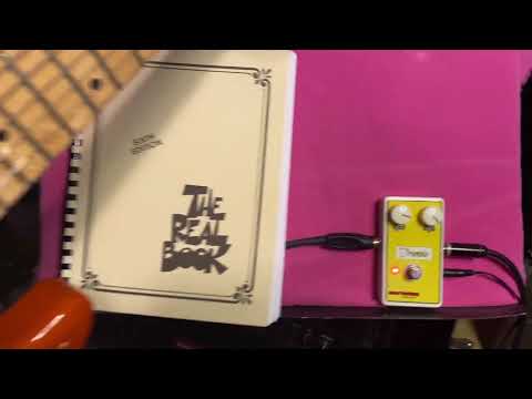 Jive Turkey 'Lectronics Tremolo 2026 image 2