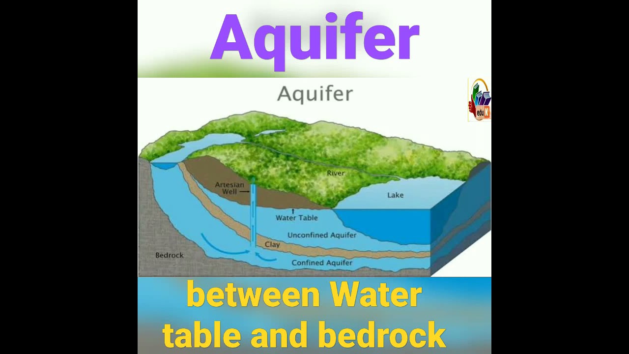 Aquifer - lies between Water table and bedrock