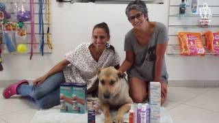 150 mil animais amparados!