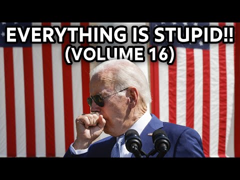 EVERYTHING IS STUPID!! (VOLUME 16)