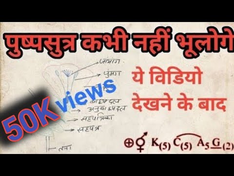 पुष्पसुत्र (floral formula) || Hindi medium || NEET