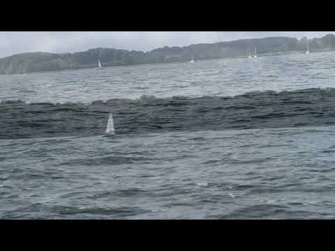 04 SBF See Von Schleswig zur Lindaunisbrücke und zurück mit kleinem Boot September 2021 #4