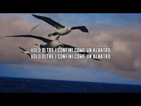 Marracash, Dargen D'amico, Rancore - L'albatro [TESTO]