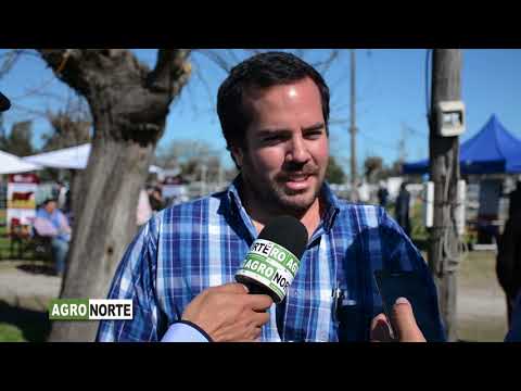 AGRONORTE Tv -  ARTIGAS TELEVISIÓN - LA RUBETA 2- REMATE ANUAL 2017