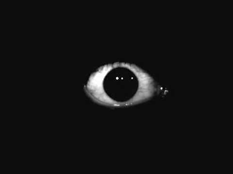 DJ Skitz   Fingerprints Of The Gods ft Roots Manuva, Life,