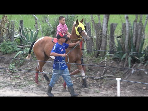 I Torneio Amigo Celino - Apresentação dos animais