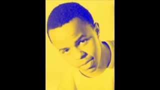 Anje Swimming Pools Freestyle