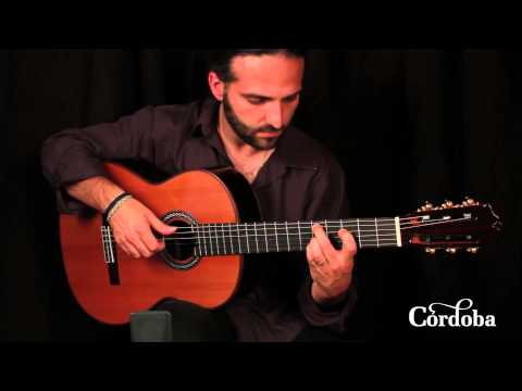 Cordoba C10 CD/IN - Solid Cedar Top, Solid Indian Rosewood back/sides, Classical Guitar image 4
