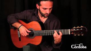 Cordoba Luthier C10 Cedar Top Classical Guitar